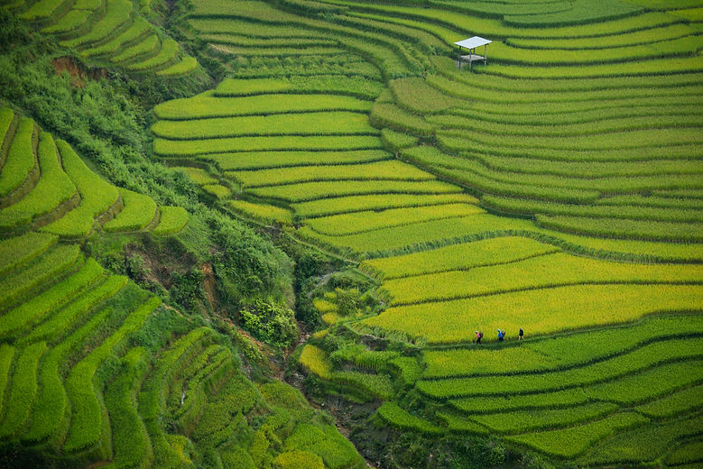 doan-tuan-3QFQOxGCVmE-unsplash.jpg