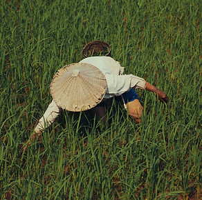 minh-triet-Weja56bQqHA-unsplash.jpg