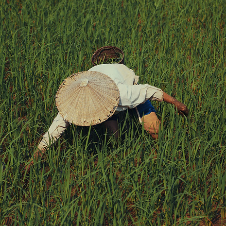 minh-triet-Weja56bQqHA-unsplash.jpg