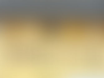 バトントワーリング世界大会出場者
