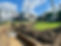 IMG_1230.jpeg