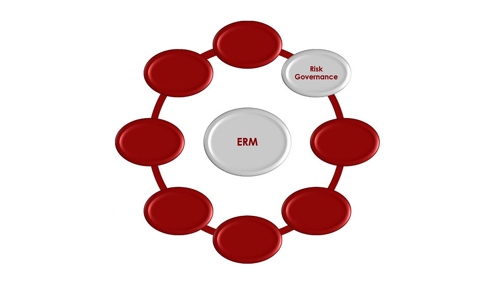 Exploring Risk Governance