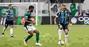 Grêmio vence o Palmeiras e Flamengo se torna Campeão Brasileiro sem entrar em campo