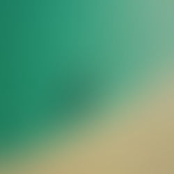 From the Vault                        Rediscovering Glory: Interviews with 5 Australian Cycling Champions from past