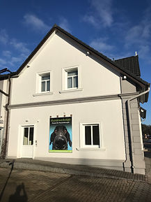 Aussenansicht_Einganstür_1jpeg.jpeg