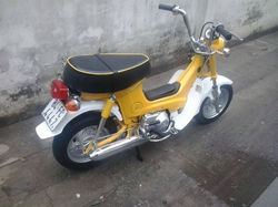 yellow chally 1.jpg