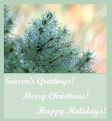 happy holidays.jpg