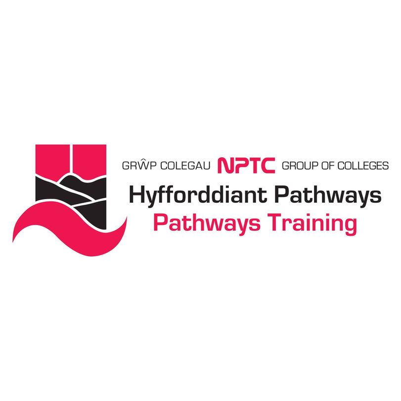 Neath Port Talbot College Logo This company works in partnership with Jobforce Wales