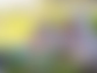 The Do-Nothing Farmer: A Revolutionary Approach to Sustainable Agriculture