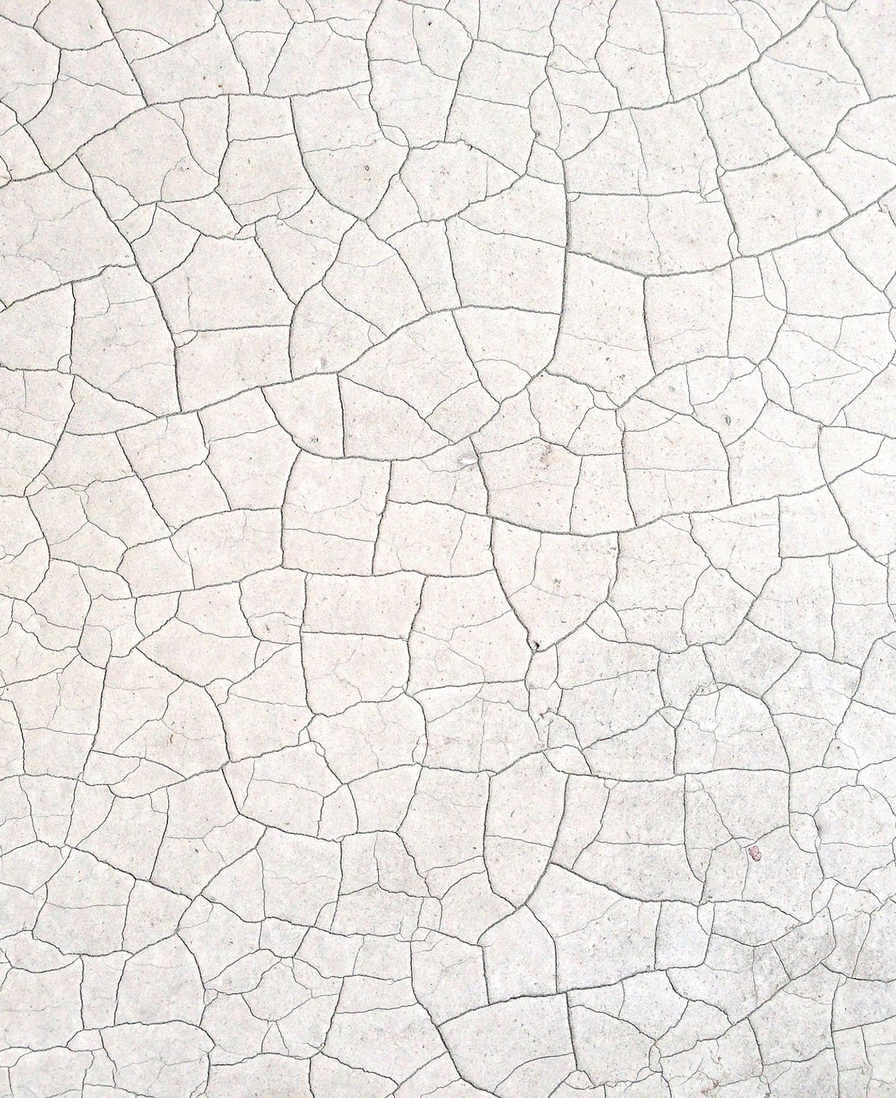 sprucken Surface