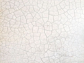 Cracked Earth Surface