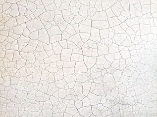 Cracked Earth Surface