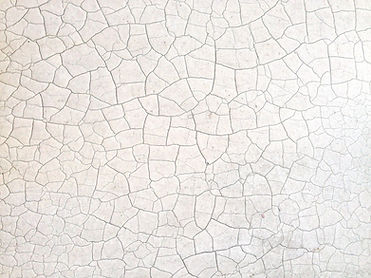 Cracked Earth Surface