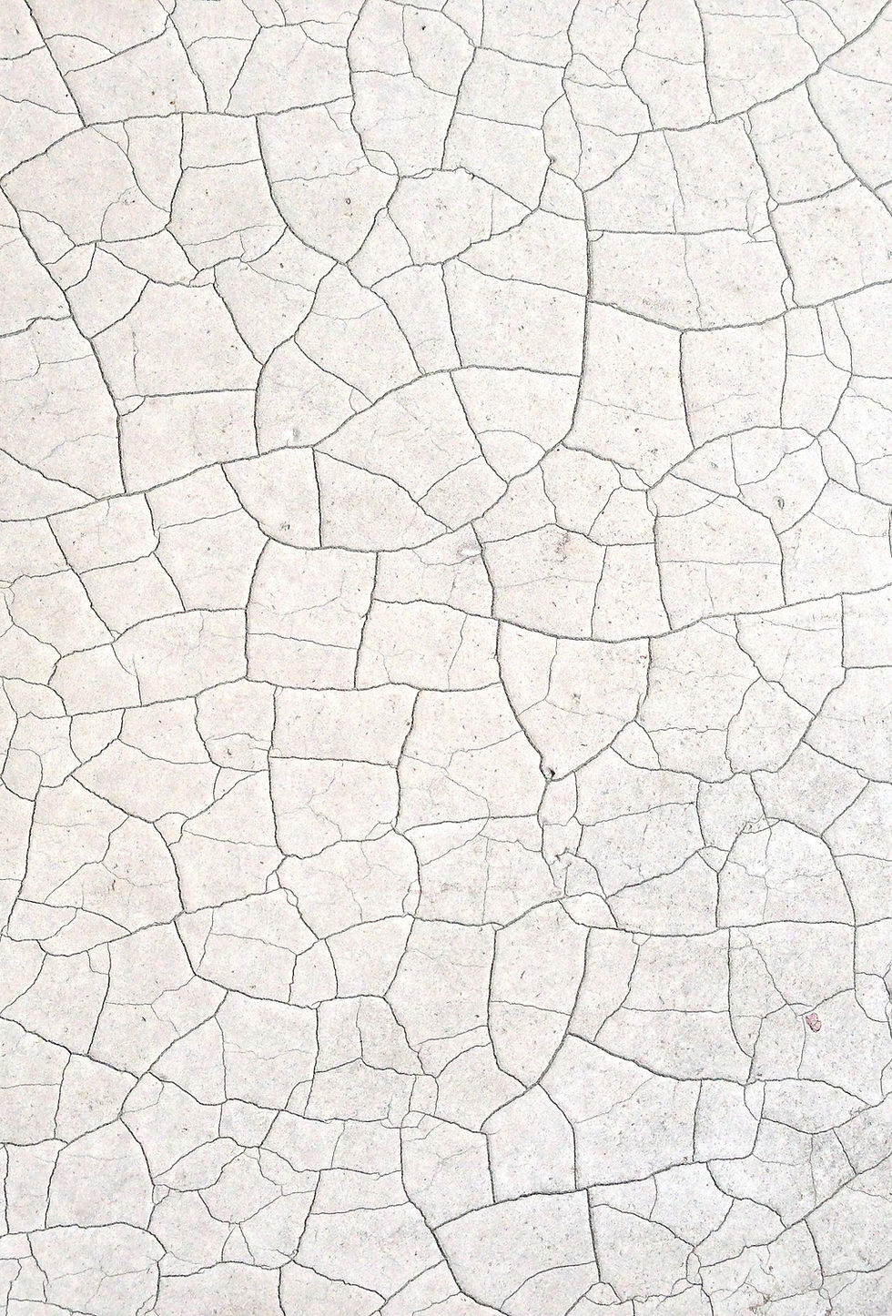 sprucken Surface