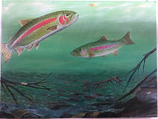 Trout in the River