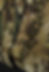 Thumbnail: Mirage G4.3 - M5 1/2