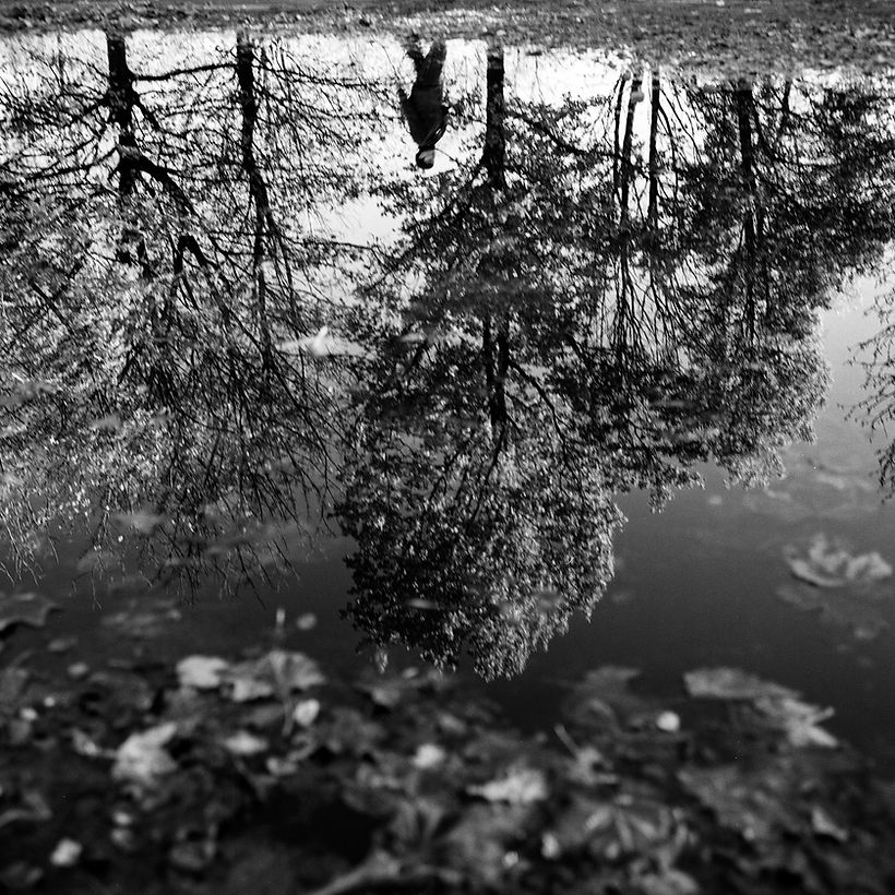 Mirror Of The Autumn | Black & White Photography
