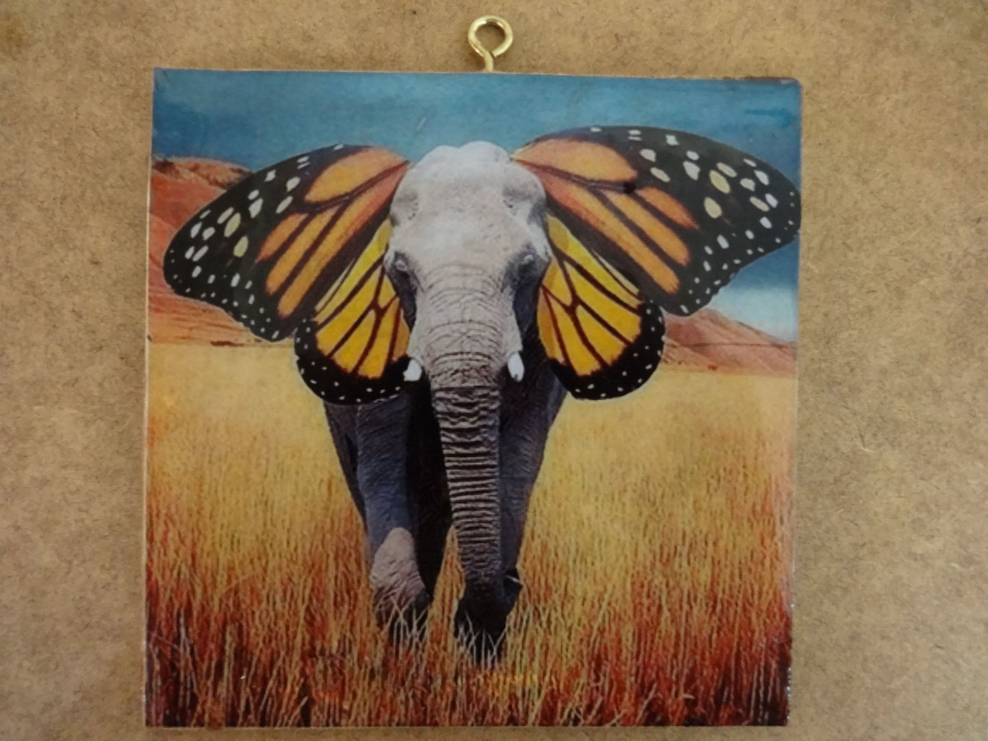 Cuadro Elefante Mariposa