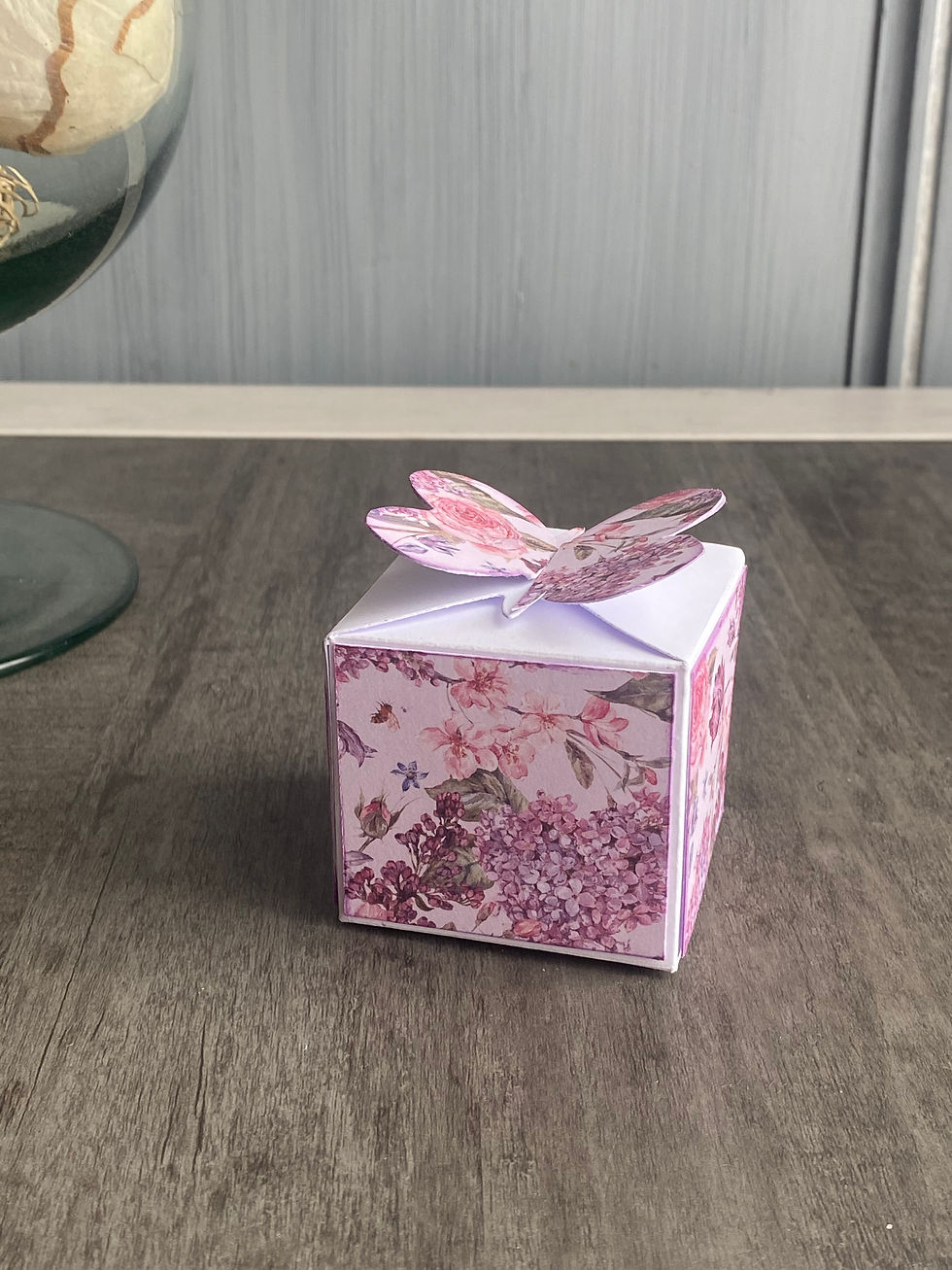 Boite papillon rose vue de face