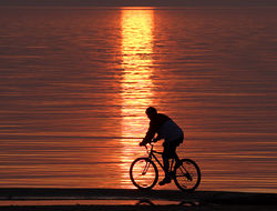 между землей и водой.jpg