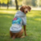 Tama Tuvalu Hoodie
