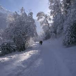 Winderlandschaft Andeer