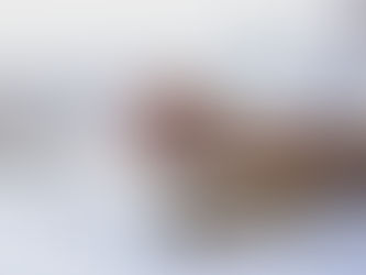 Boletín de oración / 27 de junio del 2022