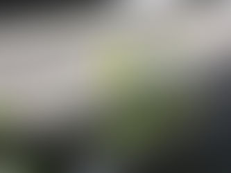 Boletín de oración / 13 de septiembre del 2021