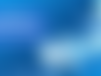 Cyber Insurance: Navigating Premiums and Practices