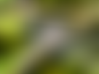 Exploring the world through a nomadic lens