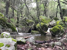 AGUASCALIENTES SE SUMA A LA LUCHA POR LA CONSERVACIÓN DE ECOSISTEMAS