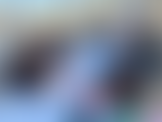 BRIGADA DE EMPLEO EN LA DELEGACIÓN INSURGENTES