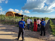 POLICÍA TURÍSTICA RECORRE VINÍCOLAS DE AGUASCALIENTES