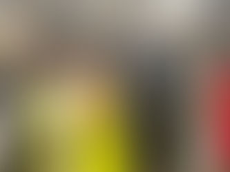 SEGUNDO FESTIVAL INTERNACIONAL "EL CABALLO Y SU MUNDO"