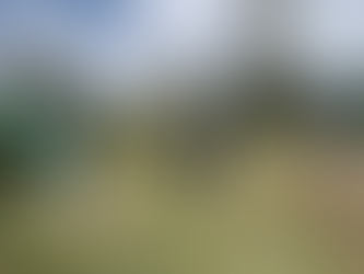 MÁS DE 36 TONELADAS DE BASURA FUERON RETIRADAS DEL RÍO SAN PEDRO GRACIAS A LA ACCIÓN COLECTIVA