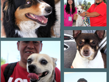 🐶🦮🐱🐈⬛ UN ÉXITO LA ATENCIÓN GRATUITA A MASCOTAS EN #Pabe🐾💚 ¡Pabellón de Arteaga, muchas gracias!