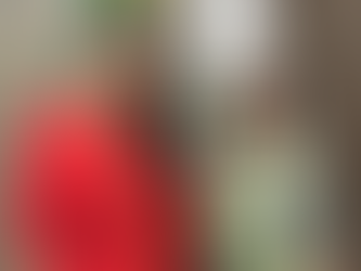 SE REÚNE TERE JIMÉNEZ CON DIRECTORA GENERAL DE LA COMISIÓN FEDERAL DE ELECTRICIDAD, EMILIA ESTHER CALLEJA ALOR