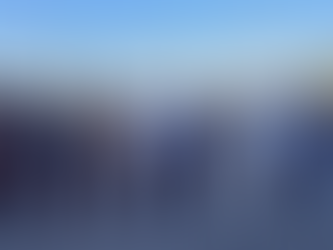 SE REALIZÓ EL OPERATIVO DE SEGURIDAD BUEN FIN 2024; HUBO VIGILANCIA EN COMERCIOS Y PLATAFORMAS DIGITALES