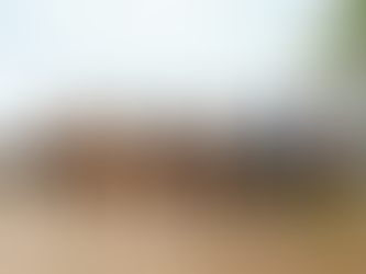 VALORES, DISCIPLINA Y TRABAJO EN EQUIPO: ESENCIA DE LA ESCARAMUZA CHARRA “LA PROVIDENCIA”