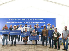 IMPULSA TERE JIMÉNEZ LA PRODUCTIVIDAD AGRÍCOLA CON LA ENTREGA DE SEMILLA MEJORADA DE MAÍZ