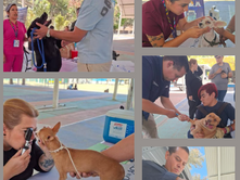 CARAVANA DE LA SALUD CANINA Y FELINA EN CALVILLO 🐾💚