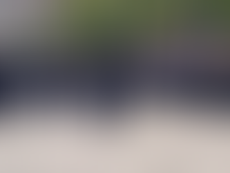 Desfile Cívico Militar desde Aguascalientes