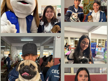 UN ÉXITO LA CARAVANA DE SALUD CANINA Y FELINA🐾💚 ¡Gracias, Jesús María!