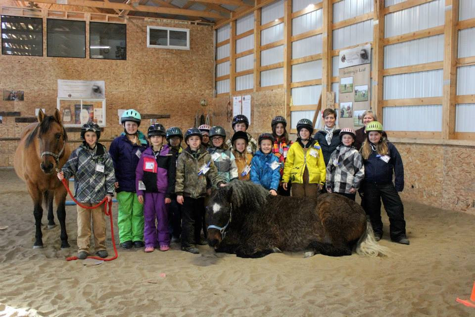 UPCOMING PROGRAMS | Gully's Learning Ranch