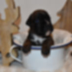 Tessi au Cœur Battant