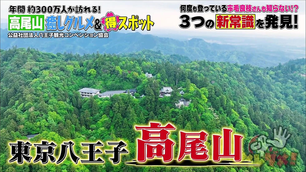 🍮🍩『年間約300万人が訪れる！高尾山 癒やしグルメ＆得スポット』ふもとエリアの食べ歩きグルメ「高尾山プリン」と「さんかくドーナツ プレーン」