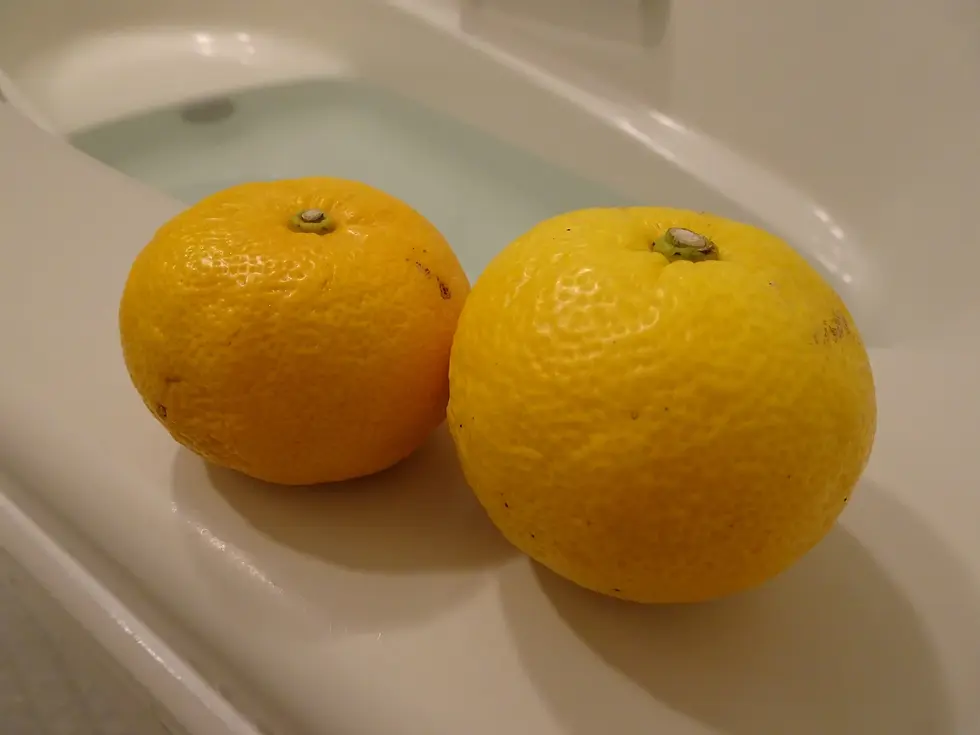 🍊 今日は『冬至』ゆず湯に入りましょう