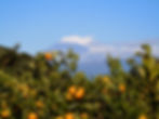 DSCN7461.JPG