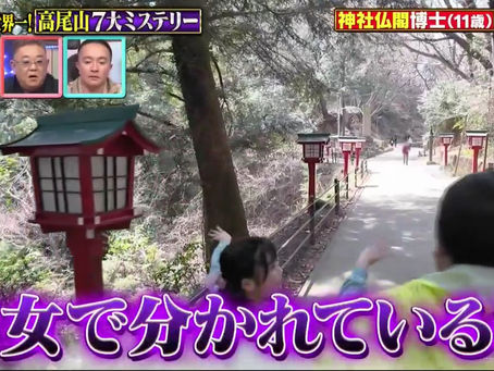 👺「サンドウィッチマン&芦田愛菜の博士ちゃん高尾山7大ミステリーSP!」コースミステリー④ 男女が離れ離れになる坂