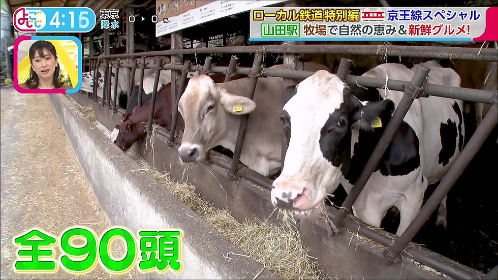 ⛰️【京王高尾線の旅】自然と絶品グルメを満喫！山田駅＆高尾山口駅のおすすめスポット